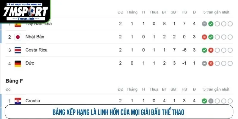 Bảng xếp hạng là linh hồn của mọi giải đấu thể thao 